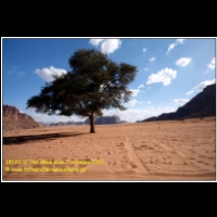 18020 12 144 Wadi Rum Jordanien 2011.jpg
